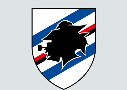 国产调教|vk