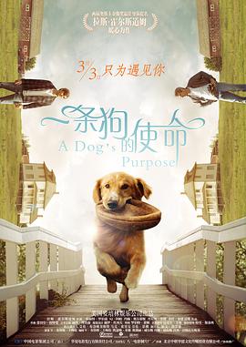 狠狠综合久久久久综