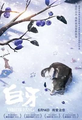 国产区高清在线