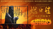 自拍视频一区二区