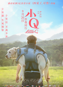 亚洲国产综合人成综合网站00