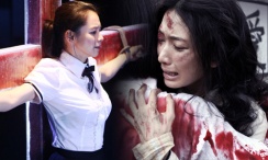 欧美一区二区视频