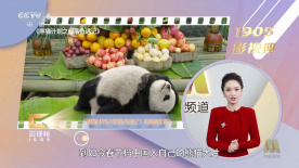 致命恋爱